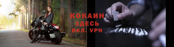 a pvp Богданович