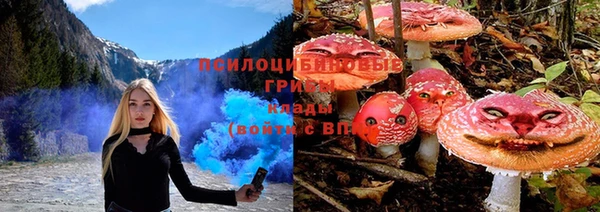 спиды Приозерск